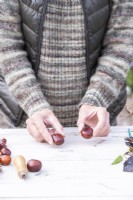 Woman placing conkers on table
