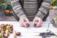 Woman placing conkers on table
