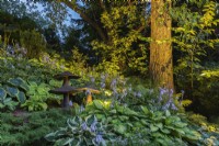 Illuminated deciduous tree underplanted with mixed flowering Hosta and decorative giant mushroom sculptures in sloped border in backyard garden at dusk.