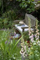 Bench beneath lilac tree with Digitalis 'Sutton's Apricot', Allium aflatunense and the foliage of
cornflowers and Crocosmia 'Lucifer' and (in the background) Iris
foetidissima.