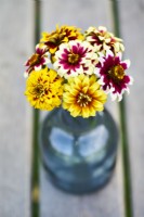 Zinnia Jazzy Mix in a small vase                           