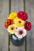 Zinnia Faberge Mixed posy in a vase