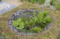 A small round pond edged with flint set in a square carpet of sedum.  Aquatic plants including Pontederia cordata - pickerel weed - and Pistia stratiotes - water lettuce.  The Traditional Townhouse Garden, RHS Hampton Court Palace Garden Festival 2023.  Designed by Lucy Taylor 