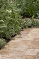Plants edging a brick path on The Sadler's Wells East Garden, designed by Alexa Ryan-Mills - All About Plants Gardens - RHS Chelsea Flower Show 2023