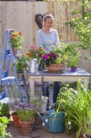 Woman filling a terracota container with Sanvitalia, Impatiens and Zinnia.