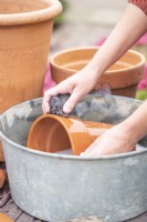 Woman cleaning terracotta pots with wire wool and soapy water