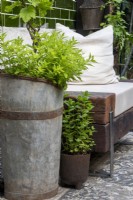 Recycled plant containers and bench on The St George 'Alright Here balcony garden designed by Emma Tipping - RHS Chelsea Flower Show 2023