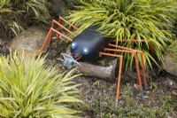 A spider made out of recycled plastic parts hides in foliage. Harbour Lights, Devon NGS garden. July. 