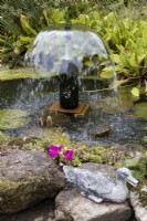 A 'champagne fountain', made from a champagne bottle in the middle of a small pond. Water lily leaves are in the pond and the stone edge of the pond is in the foreground, with a duck ornament on the wall. Harbour Lights, Devon NGS garden. July. 