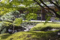 Building called Kasa Tei in shade and next to area of moss