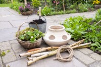 Fragaria vesca - Alpine Strawberries, bucket of compost, strawberry planter, Birch sticks and rope laid out on the ground