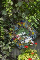 Mosaic framed mirror fixed to garden fence with foliage of Vitis vinifera 'Purpurea' and Jasminum officinale.  White cosmos and variegated pelargonium. July