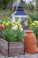 Spring display with tulips and daffodils in wooden containers and wreath made of Myosotis and Euphorbia hanging from small greenhouse.