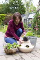 Woman placing compost in the strawberry planter
