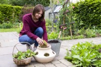 Woman placing moss in the strawberry planter