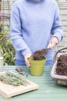 Woman filling pot with compost
