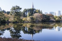 View of trees and buildings reflected in the lake with view to surrounding buildings. 