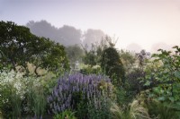 Border of herbaceous perennials and ornamental grasses on a misty morning in the walled garden at Parham House in September