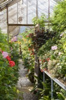 Glasshouse at Parham House in September full of tender plants