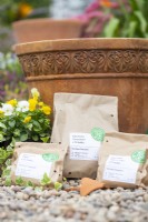 Narcissi 'Pipit', 'Geranium' and 'Tete-a-Tete' bulbs in brown paper bags with white and yellow Violas and a large terracotta container laid out on the ground