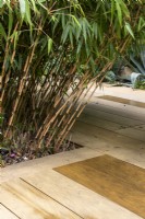 Zig-zag composite wood effect decking creates angular planting pockets at April House