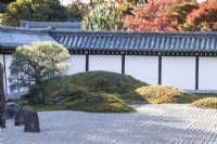 Area of raked gravel with placed stones. Surrounding walls are tiled. Single Japanese pine tree next to moss covered mounds. 