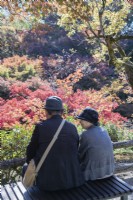 Japanese couple on seat in the valley garden with trees with autumnal colours. 