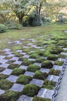 Checkboard of stone squares and moss in the north garden. 