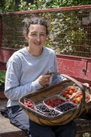 Woman gardener, Helena Whibley, with collected fruit in garden trug