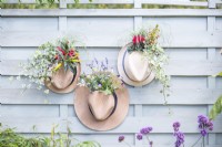 Hat planters containing Ivy, Chilli, Carex, Coprosma, Cyclamen, Lavender and Violas hanging on wooden fence
