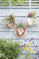 Hat planters containing Ivy, Chilli, Carex, Coprosma, Cyclamen, Lavender and Violas hanging on wooden fence