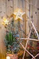 Birch star and a wicker pot containing Juniper, Cornus sticks and Eucalyptus sprigs with a trug of Ivy and wicker light up stars hanging on the wall above