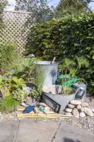 Metal basins, metal bin, watering can, bamboo sticks, pebbles, gloves, string, scissors, saw, Acorus, Juncus, Gunnera, Rodgersia, Nymphaea, Cyperus and Houttuynia laid out on the ground