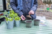 Woman tamping down the soil in the pots before sowing seeds