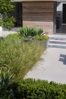 Modern garden with Molinia caerulea subsp. arundinacea 'Transparent' in bed next to paved path