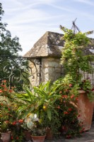 A summer display of plants in terracotta pots against a stone wall and wrought iron screen at Bourton House Garden, Gloucestershire.