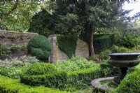 View across the Fountain Garden with clipped box towards a Cotswold stone wall at Bourton House Garden, Gloucestershire.
