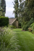 Sesleria autumnalis edges lawn leading to the shade house at Bourton House Garden, Gloucestershire,