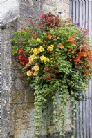 A wall basket planted for summer colour at Bourton House Garden, Gloucestershire.