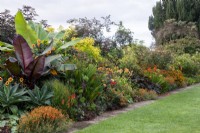 Tropical-style planting in hot colours in the Warm Border at Bourton House Garden, Gloucestershire.