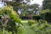 Borders planted with evergreens and grasses set against mown lawn at Bourton House Garden, Gloucestershire.