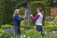  Tying in an herbaceous clematis to a metal obelisk credits: Garden: Westbrooke House - Owner: Joanne Drew - Gardener: Juliet Douglas