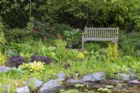 A wooden bench overlooks the pond, with marginal planting of hostas, ferns, ligularia and bamboo.