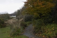 A gravel path curves past an ornamental grass on the left with trees and shrubs on the right, with varying autumn foliage and colours. The Garden House, Yelverton. Autumn, November