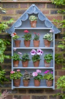 A handbuilt plant theatre with a scalloped lead roof is used to display dwarf pelargoniums.