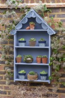 A handbuilt, seaside themed plant theatre with a scalloped lead roof is used to display different cultivars of Sempervivum succulents, planted in metal or terracotta pots and vintage containers.