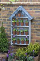 A handbuilt Auricula theatre with a scalloped lead roof displays vintage terracotta pots planted with Auricula primulas.