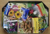 Packets of flower and vegetable seeds in a tin  August