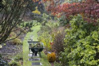 A wheelbarrow full of greenery on a paving slab path set in a grass lawn, running between borders either side. The Garden House. Autumn, November. 