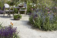 Designer: Carol Klein. Colour themed border of Salvia 'Caradonna', Eryngium, Verbena 'Bonariensis' and Echinacea pallida. Seating area in summer.